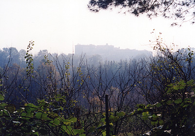 ::AZIENDA AGRICOLA APICOLTURA ENZO STEFANI::